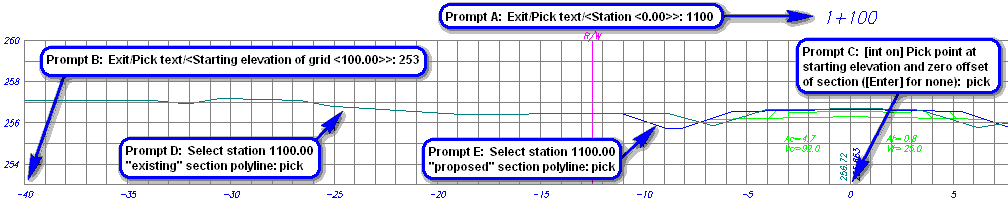 Sections from Polyline Prompts